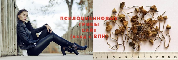 стафф Покачи