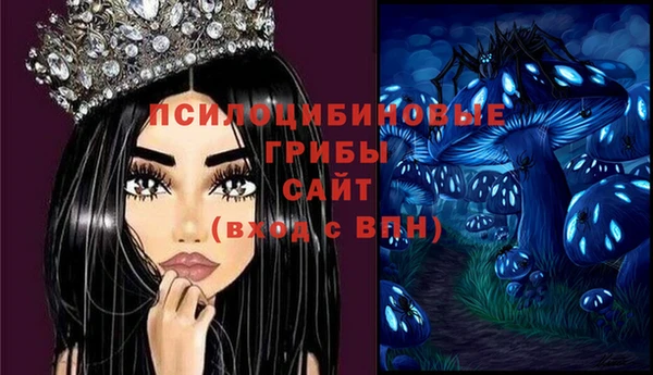 ALPHA PVP Алексин