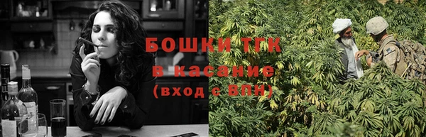 стафф Покачи